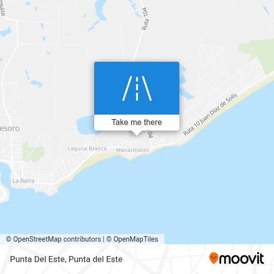 Punta Del Este map