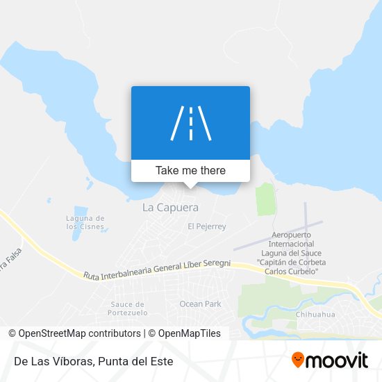 De Las Víboras map