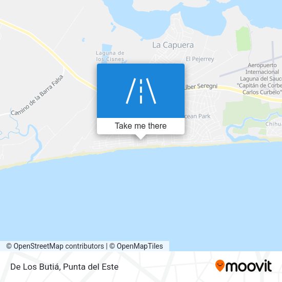 De Los Butiá map