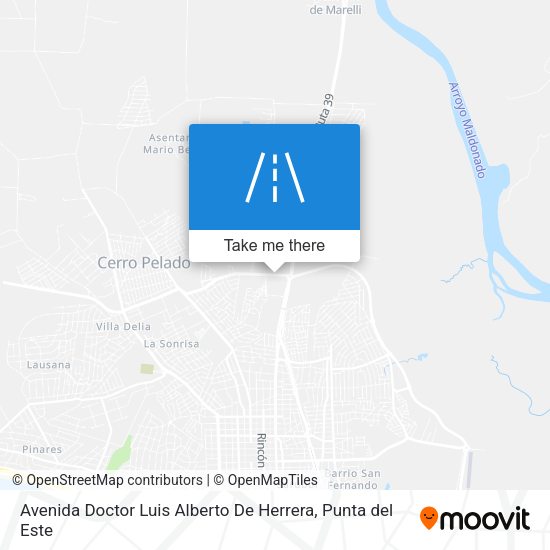Avenida Doctor Luis Alberto De Herrera map