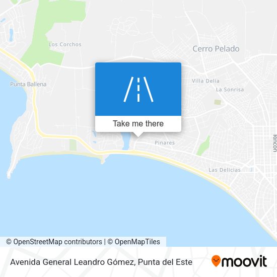 Avenida General Leandro Gómez map