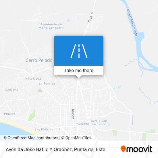 Avenida José Batlle Y Ordóñez map