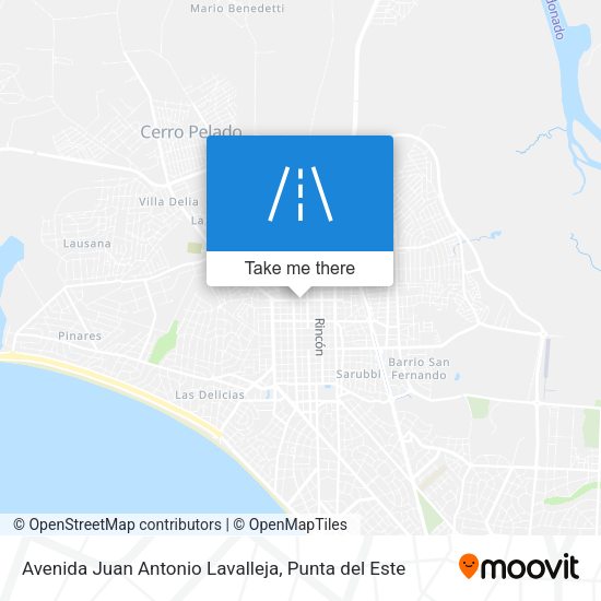 Avenida Juan Antonio Lavalleja map