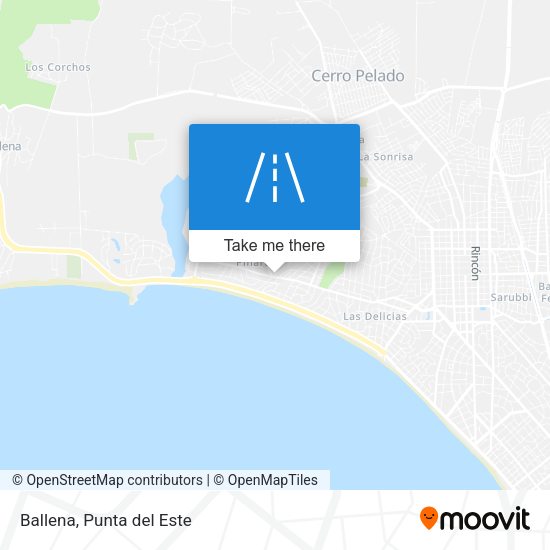 Mapa de Ballena