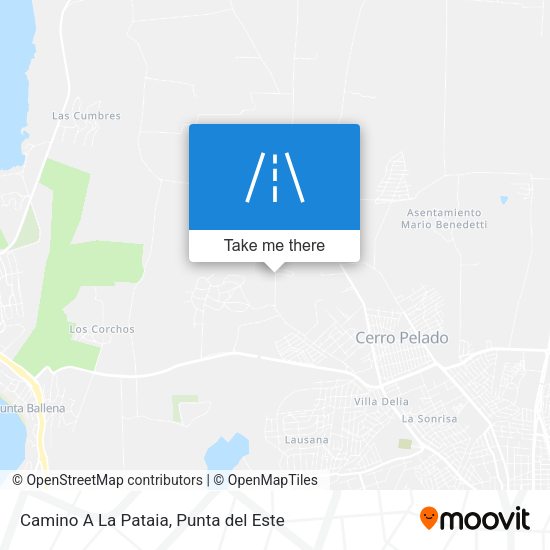Camino A La Pataia map
