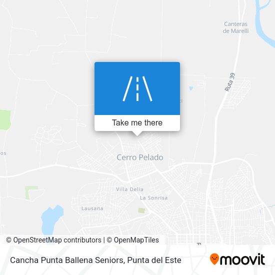 Mapa de Cancha Punta Ballena Seniors