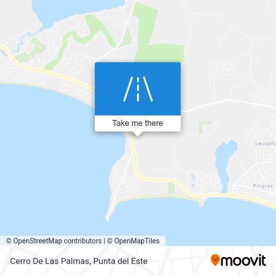 Mapa de Cerro De Las Palmas