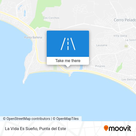Mapa de La Vida Es Sueño