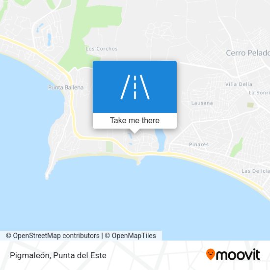 Pigmaleón map