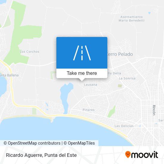 Ricardo Aguerre map