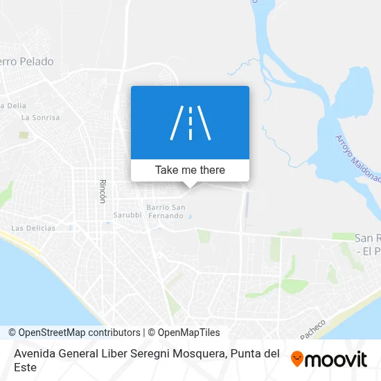 Avenida General Liber Seregni Mosquera map