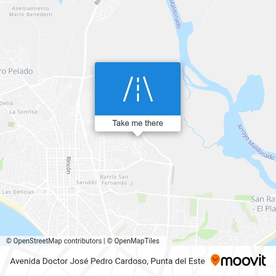 Avenida Doctor José Pedro Cardoso map