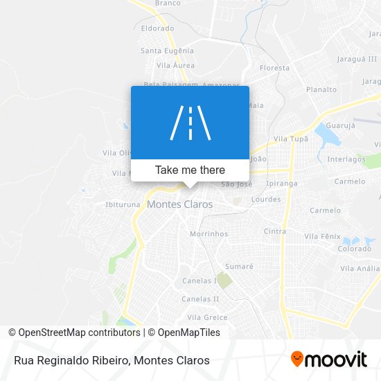 Rua Reginaldo Ribeiro map