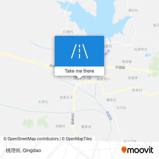 桃理街 map