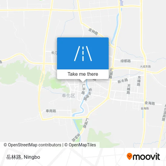 岳林路 map