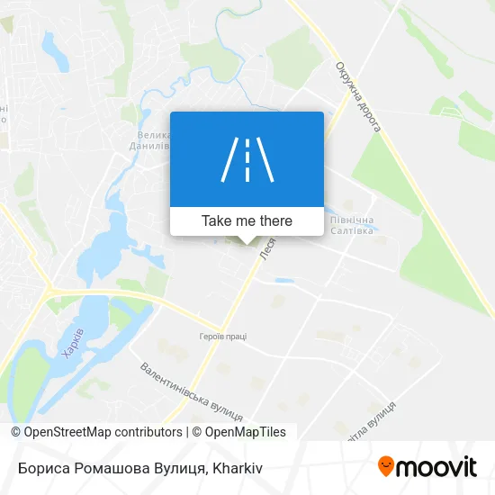 Карта Бориса Ромашова Вулиця
