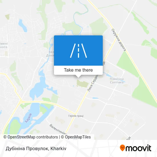 Карта Дубініна Провулок