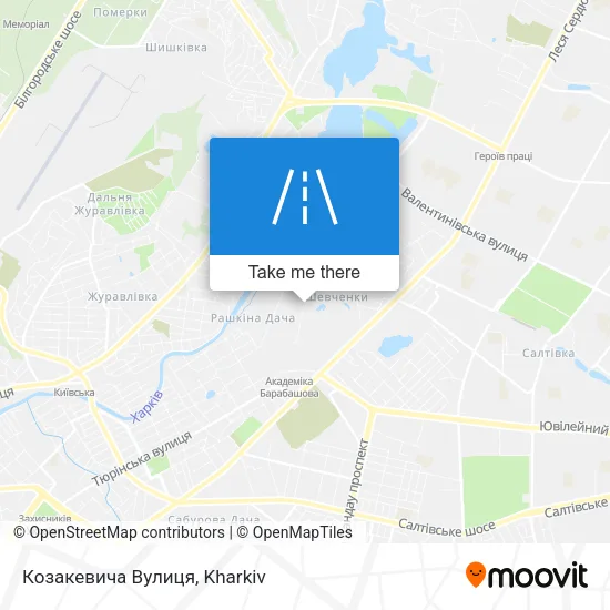 Карта Козакевича Вулиця