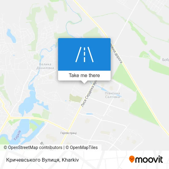Карта Кричевського Вулиця