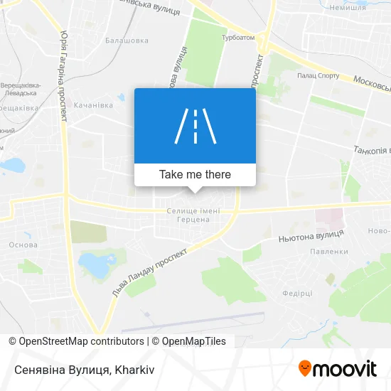 Карта Сенявіна Вулиця