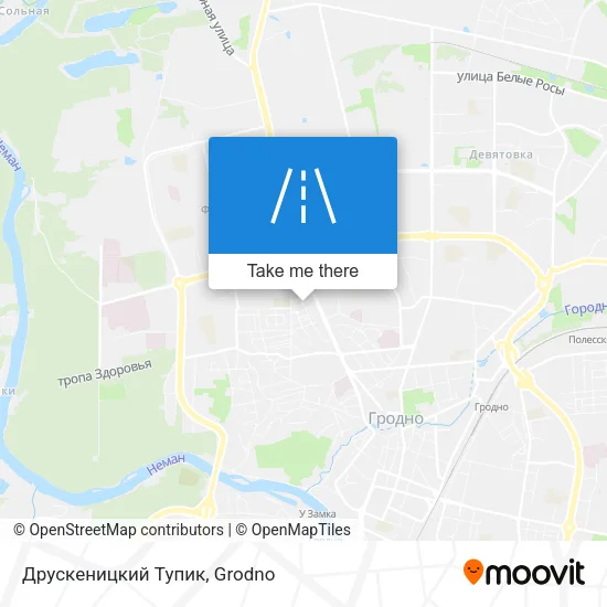Друскеницкий Тупик map