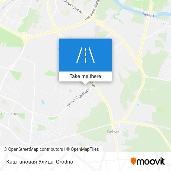 Каштановая Улица map
