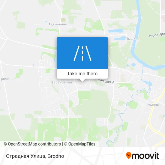 Отрадная Улица map