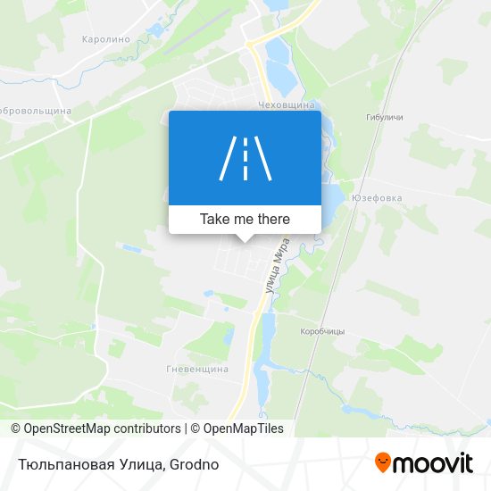 Тюльпановая Улица map
