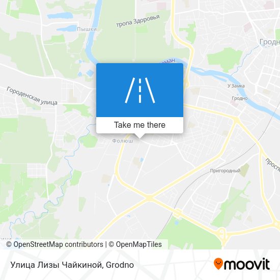 Улица Лизы Чайкиной map