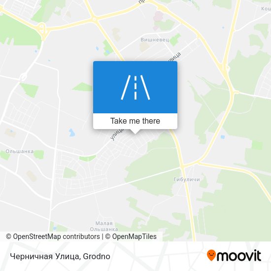 Черничная Улица map