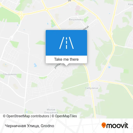 Черничная Улица map