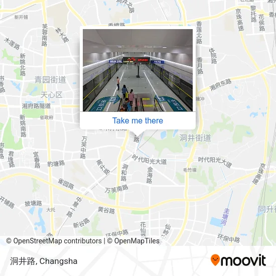 洞井路 map