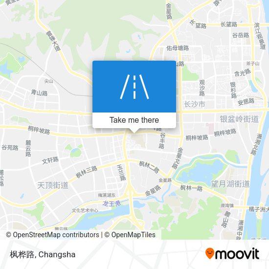 枫桦路 map