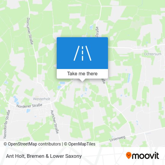 Ant Holt map