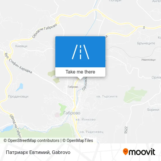 Патриарх Евтимий map