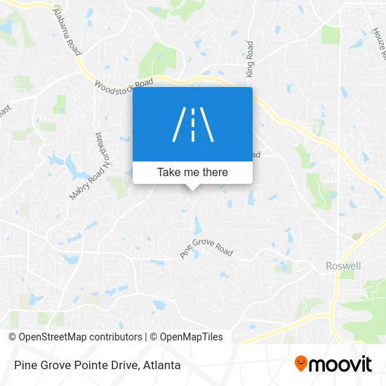 Pine Grove Pointe Drive map