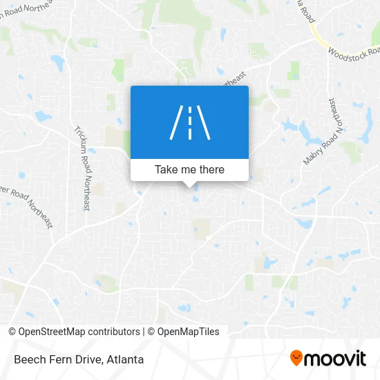 Beech Fern Drive map