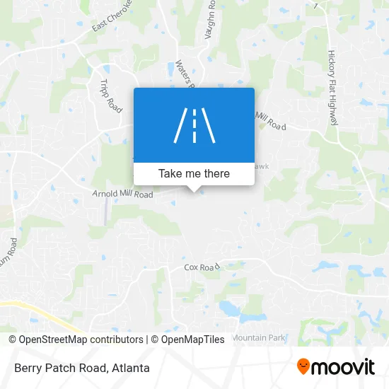 Berry Patch Road map