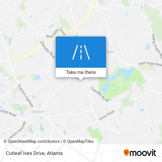 Cutleaf Ives Drive map
