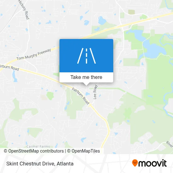 Skint Chestnut Drive map