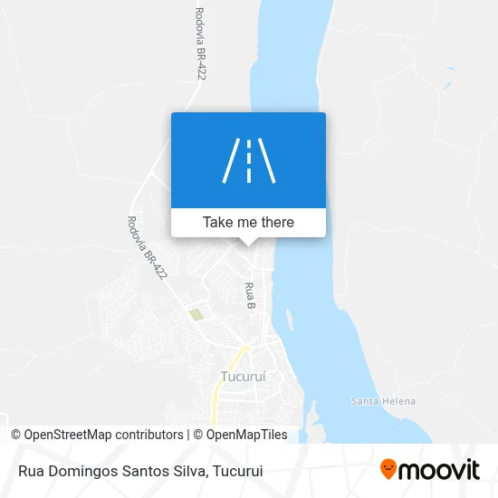 Rua Domingos Santos Silva map