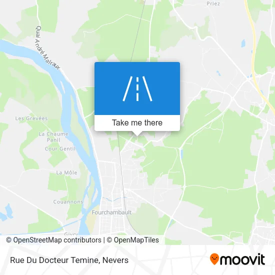 Rue Du Docteur Temine map