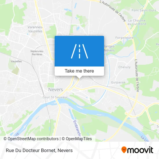 Rue Du Docteur Bornet map