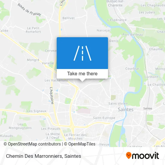 Chemin Des Marronniers map