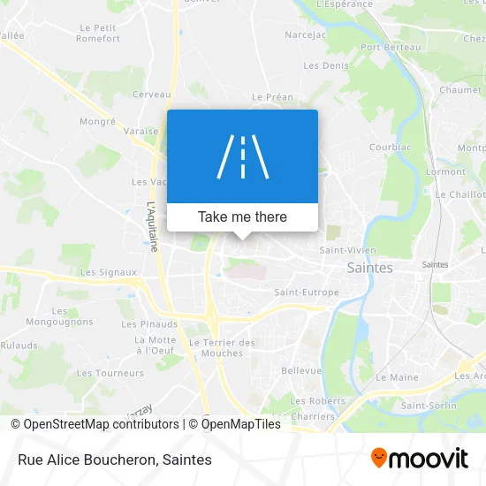 Rue Alice Boucheron map