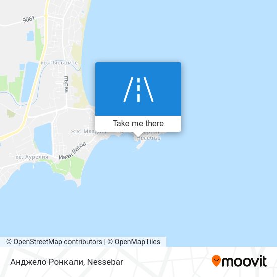 Анджело Ронкали map