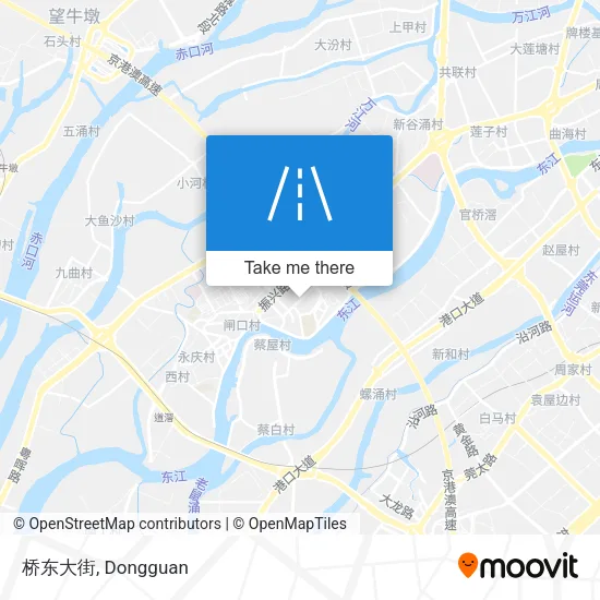 桥东大街 map