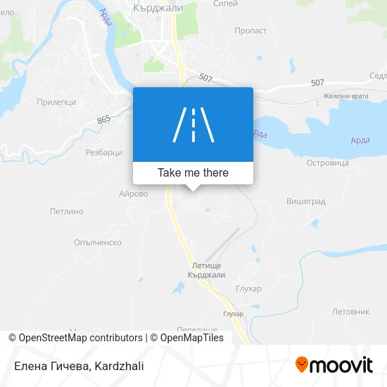 Карта Елена Гичева