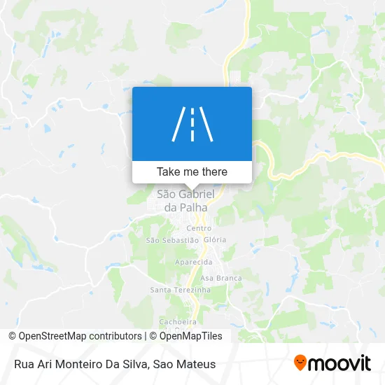 Rua Ari Monteiro Da Silva map