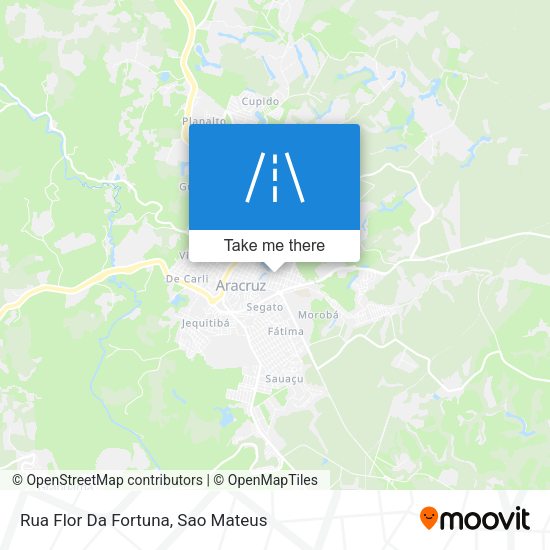 Rua Flor Da Fortuna map